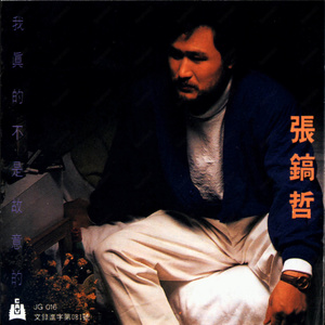 《再回到从前》Flac/MP3格式 无损音乐下载,张镐哲
