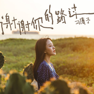 《谢谢你的路过》Flac/MP3格式 无损音乐下载,习谱予
