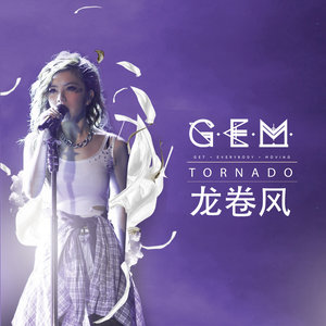 《龙卷风》Flac/MP3格式 无损音乐下载,G.E.M.邓紫棋
