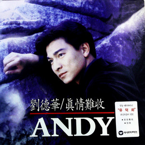 《伤心》Flac/MP3格式 无损音乐下载,刘德华
