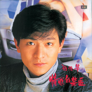《错觉》Flac/MP3格式 无损音乐下载,刘德华